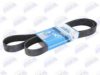 BTA B08-8PK1610 V-Ribbed Belts